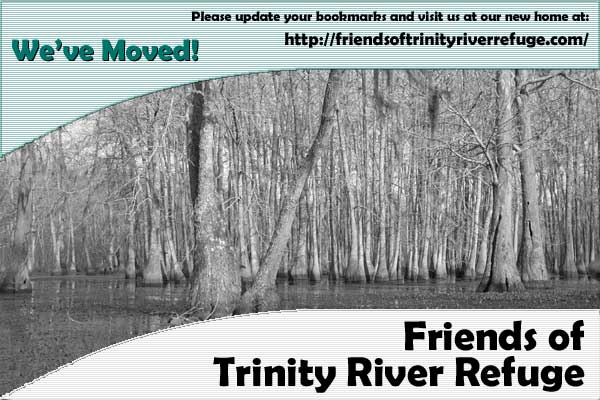 [Friends of Trinity River Refuge Have Moved!]